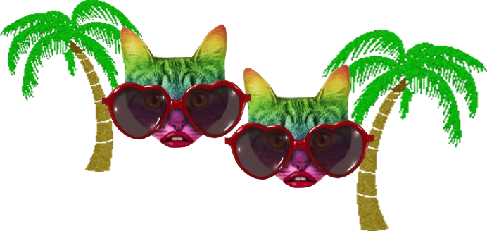 cer-cats